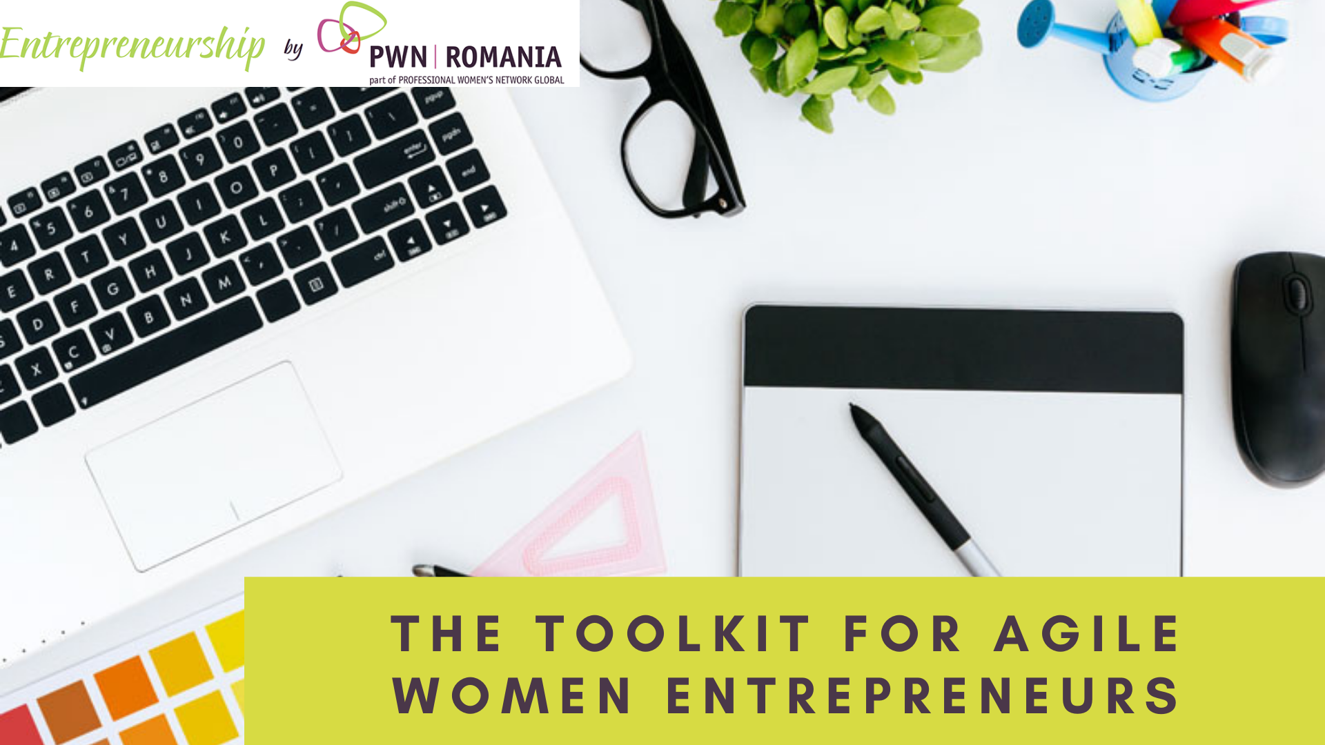PWN Romania's Entrepreneur's Toolkit